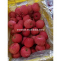 Rosado Blush Nova Temporada Fuji Apple